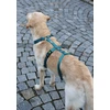 Image de Harnais Miami, 20 mm, 48-70 cm, turquoise, Kerbl