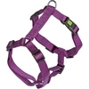 Image de Harnais Miami avec fermeture Safety Fix, violet, 40 - 57 cm