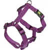 Image de Harnais Miami avec fermeture Safety Fix, violet, 55 - 76 cm