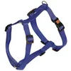 Image de Harnais Miami avec fermeture Safety Fix bleu 40 - 57 cm