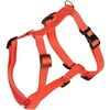Image de Harnais Miami avec fermeture Safety Fix rouge 40 - 57 cm