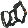 Image de Harnais Miami avec fermeture Safety Fix, noir, 75 - 100 cm