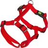 Image de Harnais Miami avec fermeture Safety Fix, rouge, 75 - 100 cm