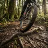 Image de Continental Magnotal Trail Grip Tubeless 29'' X 2.40 Mtb-reifen Braun 29'' x 2.40 Braun 29'' x 2.40