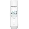 Image de GOLDWELL | DUALSENSES SCALP SPECIALIST | Shampoos