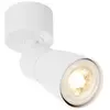 Image de SLV PURI 2.0 Dome, applique murale et plafonnier, 1x max. 6W GU10, blanc 1008294