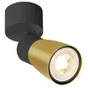 Image de SLV PURI 2.0 Dome, Applique et plafonnier apparent, 1x max. 6W GU10, noir / or 1008293