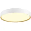 Image de SLV 1008923 DECONA 42, CL, PHASE, plafonnier apparent, rond, 3000/4000K, 23 W, blanc / or