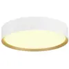 Image de SLV BIG WHITE DECONA 30 CL, PHASE, plafonnier apparent, rond, 3000/4000 K, 17 W, blanc/doré 1008919