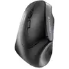 Image de CHERRY MW 4500 LEFT Souris ergonomique sans fil, pour gauchers, noir, USB - Neuf