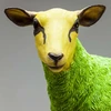 Image de Déco mouton vert Kare Design