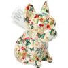 Image de Tirelires Dog Fiore 12cm set de 4 Kare Design