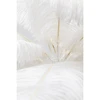 Image de Lampe plumes blanches Kare Design