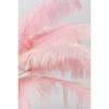Image de Lampe plumes roses Kare Design