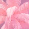 Image de Lampadaire plumes 165cm rose Kare Design
