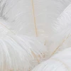 Image de Lampadaire plumes 165cm blanc Kare Design