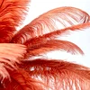 Image de Lampe plumes marron Kare Design