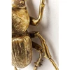 Image de Déco murale Herkules Beetle dorée Kare Design