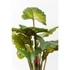 Image de Plante décorative Rainbow Tree 160cm Kare Design