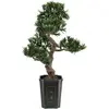 Image de EUROPALMS Bonsai Podocarpus, plante artificielle, 80cm