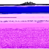 Image de Dirty Dan - TLE - ADDIX Ultra Soft - Super Descente - 29x2.35 - Noir