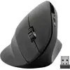 Image de SPEEDLINK SL-630019-RRBK souris Bureau Droitier RF Wireless + USB Type-A Optique 1600 DPI - Neuf