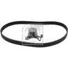 Image de Zahnriemen-kit Febi Bilstein 11028 Bmw 11 31 1 711 081 Bmw 11 31 1 711 081 S1