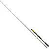 Image de Chat Noir Perfect Passion Allstar Cast 2,20m 30-130g Wels-Castingrute