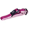 Image de Nobby   Collier Pour Chien Classic Preno   Framboise/rose, Taille Xs-s, 25 À 35 Cm, Nylon Et Néoprène