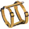 Image de Nobby Geschirr "Classic Preno" Mini L : 30-40 cm ; B : 10 mm, orange