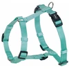 Image de Nobby Geschirr "Classic" mint Brust : 20-35 cm ; W : 10 mm