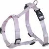 Image de Nobby harnais "Classic" lilas Poitrine : 30-50 cm ; L : 15 mm