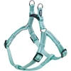 Image de Nobby harnais "Soft Grip" menthe Poitrine : 40-56 cm, L : 15 mm