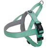 Image de Chaussure Nobby Norwegergeschirr "Classic Preno" menthe L : 60-76 cm + 46 cm, l : 25/35 mm