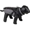 Image de Nobby Manteau pour chien Reku 2 en 1 gris/noir, taille : 29 cm