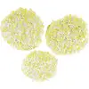 Image de Karcher - Tampons De Polissage Kärcher Pierre / Linoléum / Pvc