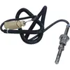 Image de Capteur, Abgastemperatur