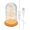 Image de Goobay 60340 Cloche en verre avec micro-chaîne lumineuse LED, beige-transparent - avec socle en bois, câble USB 115 cm, chaîne lumineuse 5 m avec 50 micro-LED en blanc chaud (2700 K) et interrupteur (marche/arrêt)