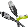 Image de goobay 70754 goobay USB C 3.1/RJ45 CAT 6 Kabel 10,0 m grau, schwarz, 1 St.