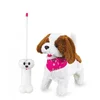 Image de Lucky RC Chien en peluche blanc/marron 27MHz