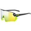 Image de Lunettes de protection Uvex Sportstyle 231 2.0 - Noir-Jaune Mat (2616)