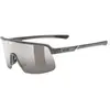 Image de Lunettes Uvex Dyrt Gris TU 533095-5515