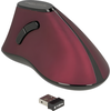 Image de DELOCK ergonom. Maus vertikal optisch 5-Tasten 2.4GHz wirel.