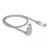 Image de DELOCK Patchkabel gewinkelt RJ45 S/STP Cat6A 0.50m grau