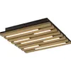 Image de Plafonnier LED JUST LIGHT 15590-79, 10 W, 3000 K, 1450 lm, blanc chaud, IP20, bois/noir