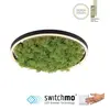 Image de JUST LIGHT GERDA RITUS Plafonnier LED Blanc chaud Dimmable 20 W vert mousse 15391-66