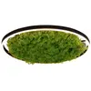 Image de Plafonnier LED rond GREEN RITUS, couleur mousse naturel-noir, 28 W, blanc chaud, 960 lm, dimensions : 5,3 x 58,5 x 58,5 cm, IP20, Leuchten Direkt