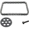 Image de SWAG Kit chaîne Entraînement pompe à huile 20 94 9523 pour BMW 5 Berline (E60)