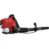 Image de Scheppach Souffleur de feuilles LB5200BP 1,9 CV