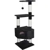 Image de Arbre à chat Europet Bernina Classic Loonaa noir